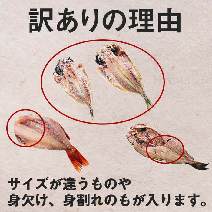 訳あり干物 お楽しみセット 3種以上セット 約1.3kg