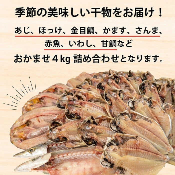 「すずひで」 訳あり 干物 ひもの おまかせ 4kg 詰め合わせセット