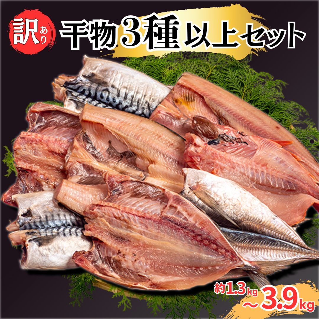 【当店限定】おすすめの干物