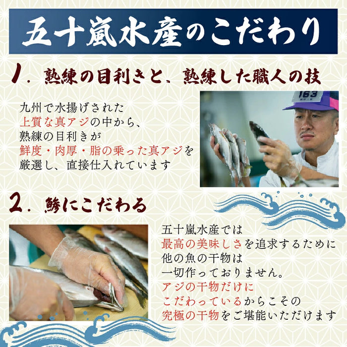 【訳あり】 真あじの干物 【1kg/2.8kg/5kgから選択可】