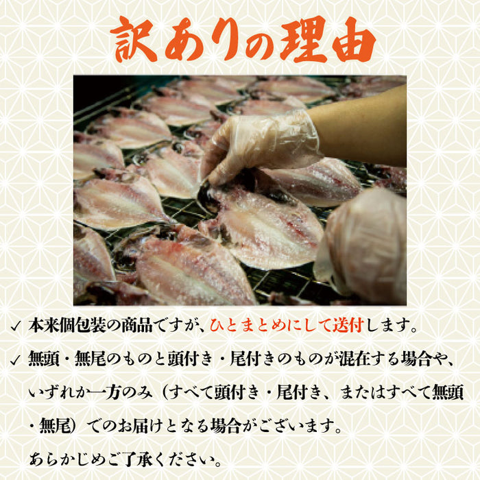 【訳あり】 真あじの干物 【1kg/2.8kg/5kgから選択可】
