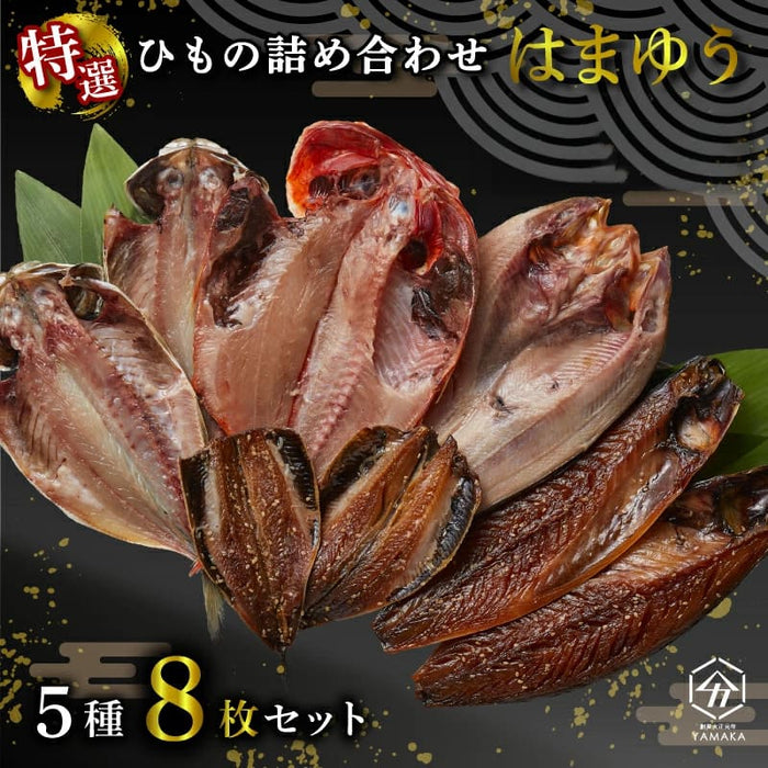 干物 厳選セット 5種 8枚