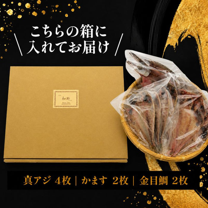 【干物専門店直送】3種8枚詰め合わせ(真アジ・カマス・金目鯛)【静岡県沼津市】
