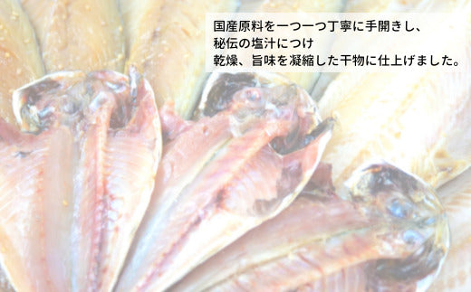 干物詰め合わせ5種類12枚
