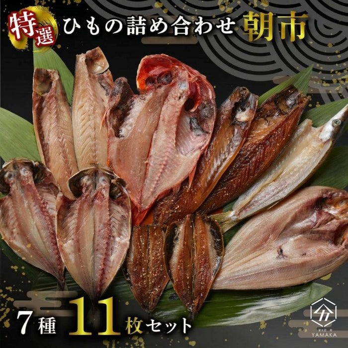 干物 厳選セット 7種 11枚