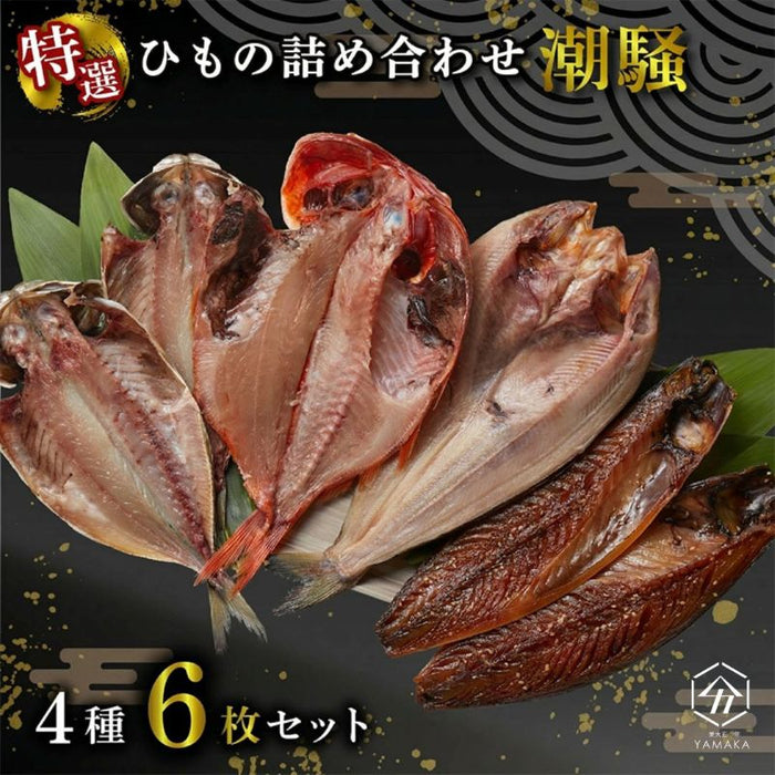 干物 厳選セット 4種 6枚