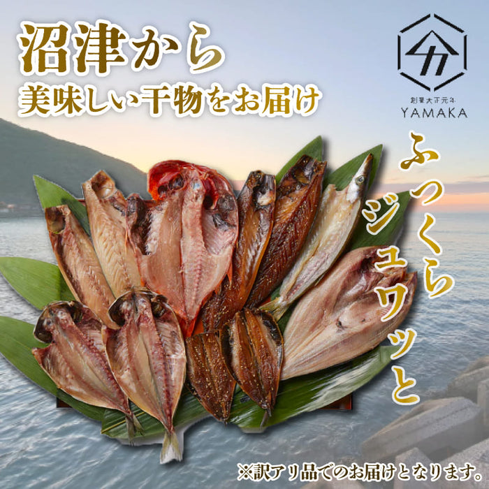 【訳あり】 干物 詰め合わせ 【1.2kg/3kg/4kgから選択可】